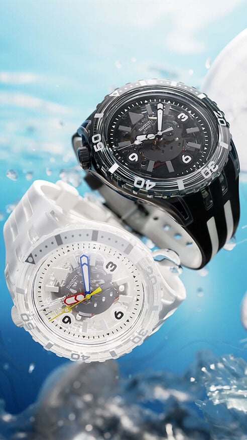 SCUBAQUA - BLACK SEA NETTLE and AURELIA AURITA